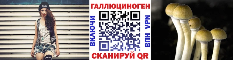 Галлюциногенные грибы Cubensis  Воронеж 